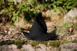 A black witch hat rests on a grassy forest floor, surrounded by a mix of green foliage, dry twigs, and leaves. The scene is sunlit, casting soft shadows and highlighting the textures of the natural elements.