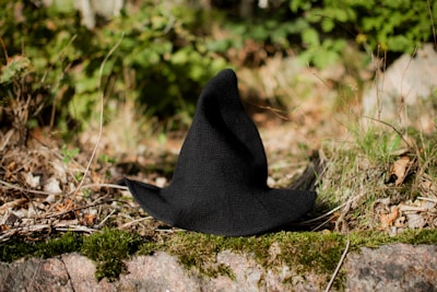A black witch hat rests on a grassy forest floor, surrounded by a mix of green foliage, dry twigs, and leaves. The scene is sunlit, casting soft shadows and highlighting the textures of the natural elements.
