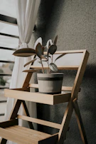 a potted plant sitting on top of a wooden shelf