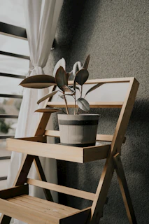 a potted plant sitting on top of a wooden shelf