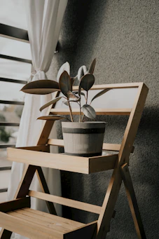 An elegant plant stand holding a lush green plant, framed by soft cream curtains.