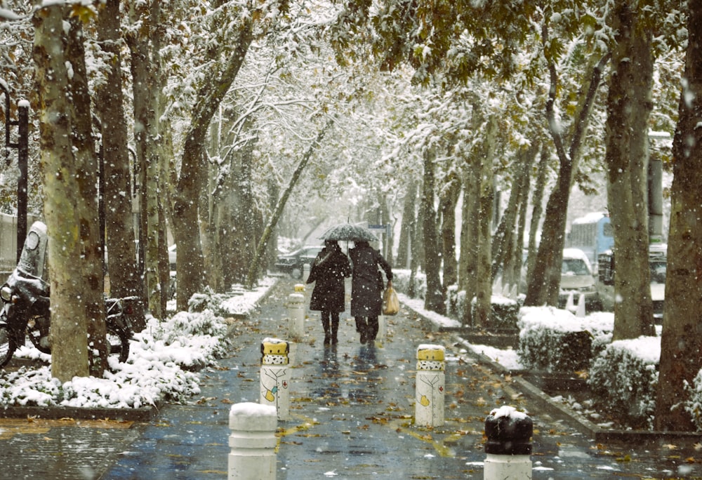 um casal de pessoas caminhando por uma rua coberta de neve