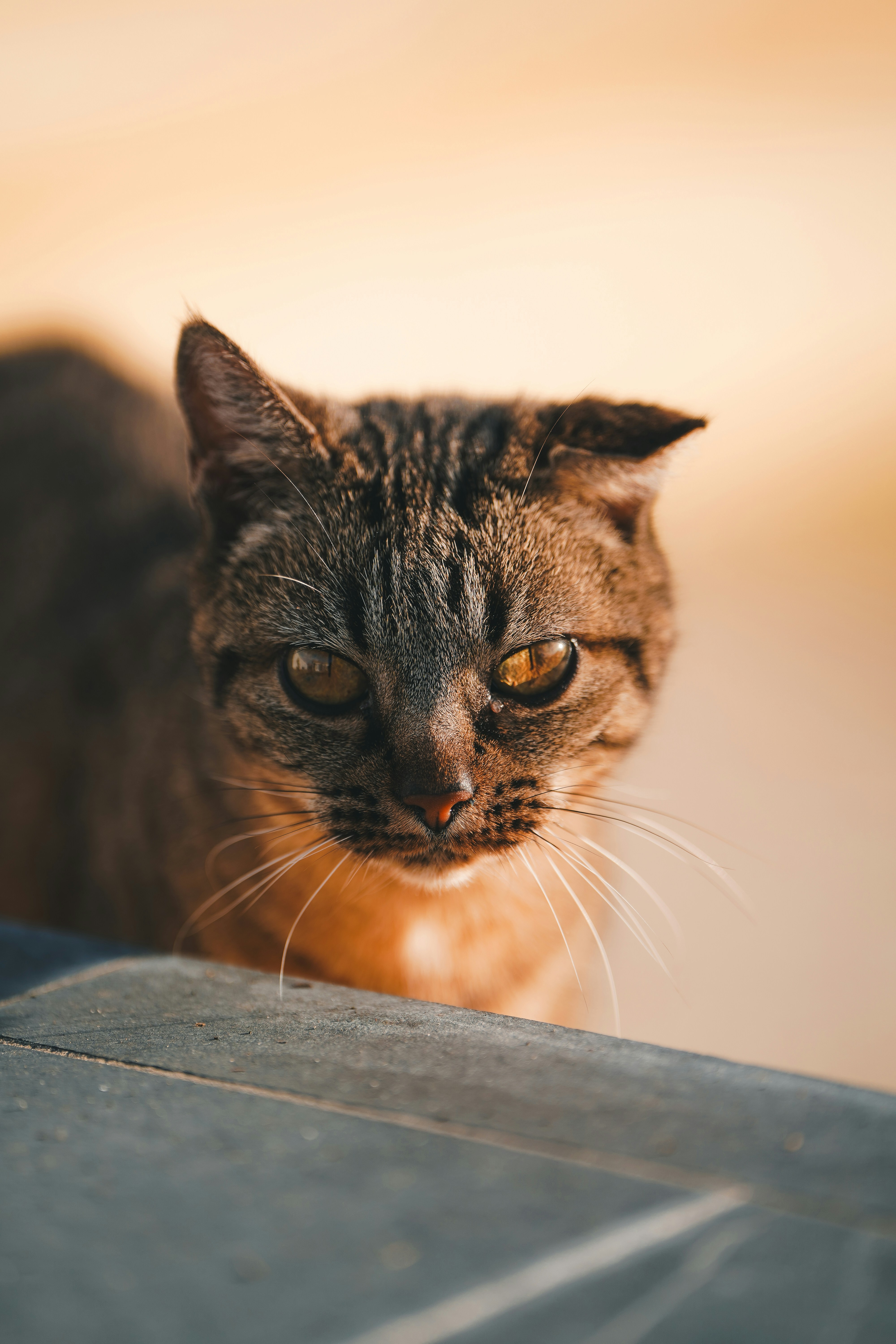 Photo by kevin_charit