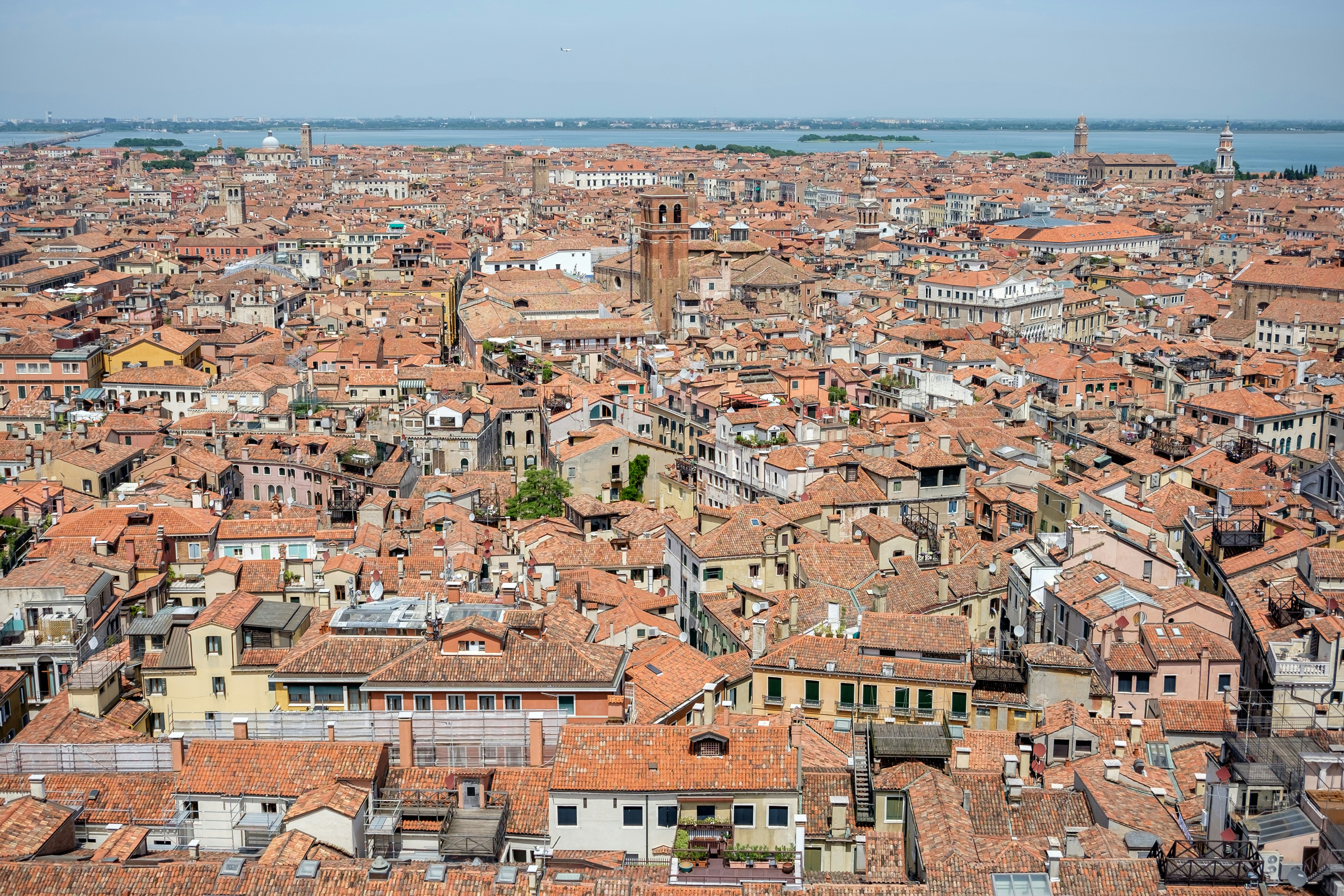 Photo by mayumimaciel