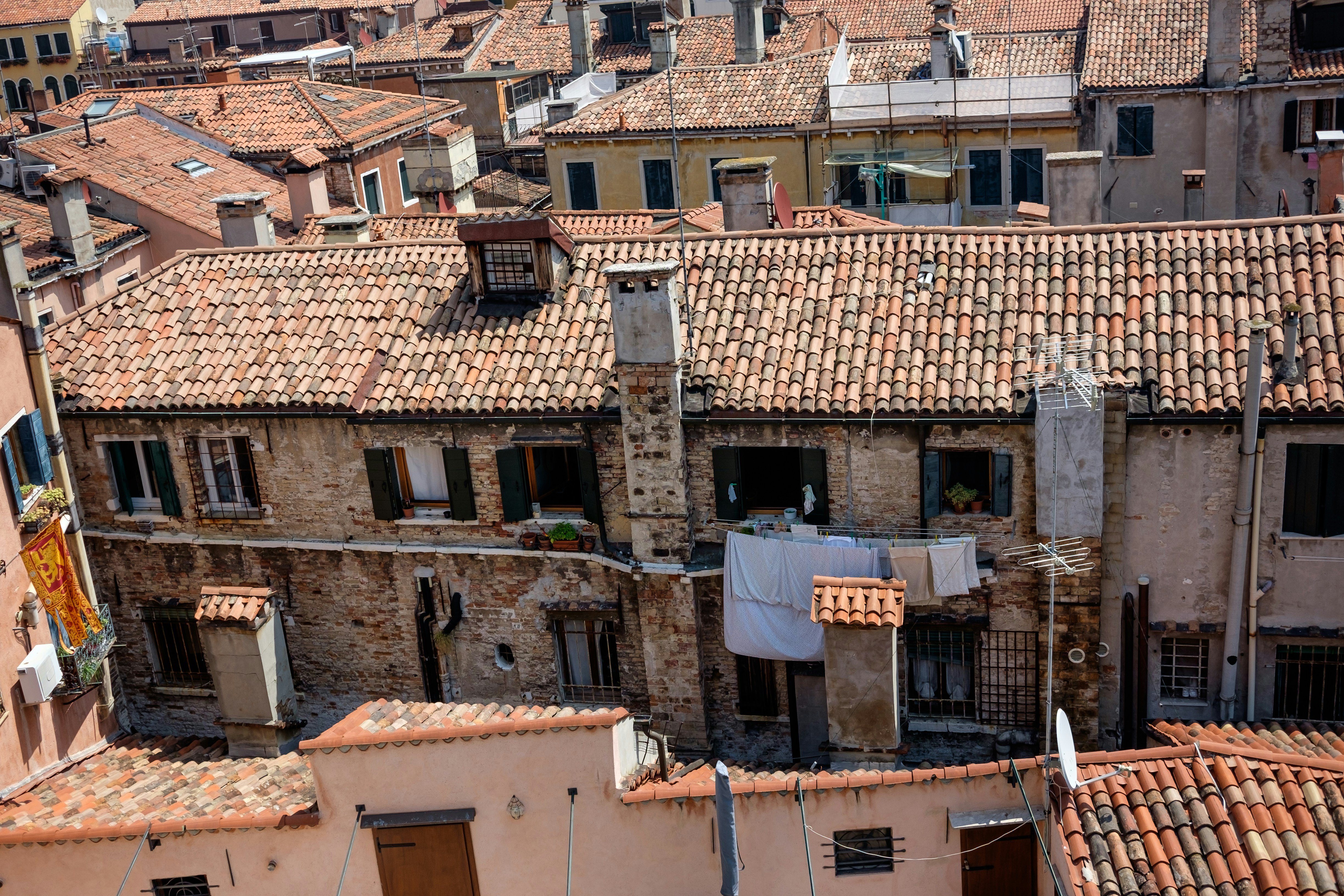 Photo by mayumimaciel