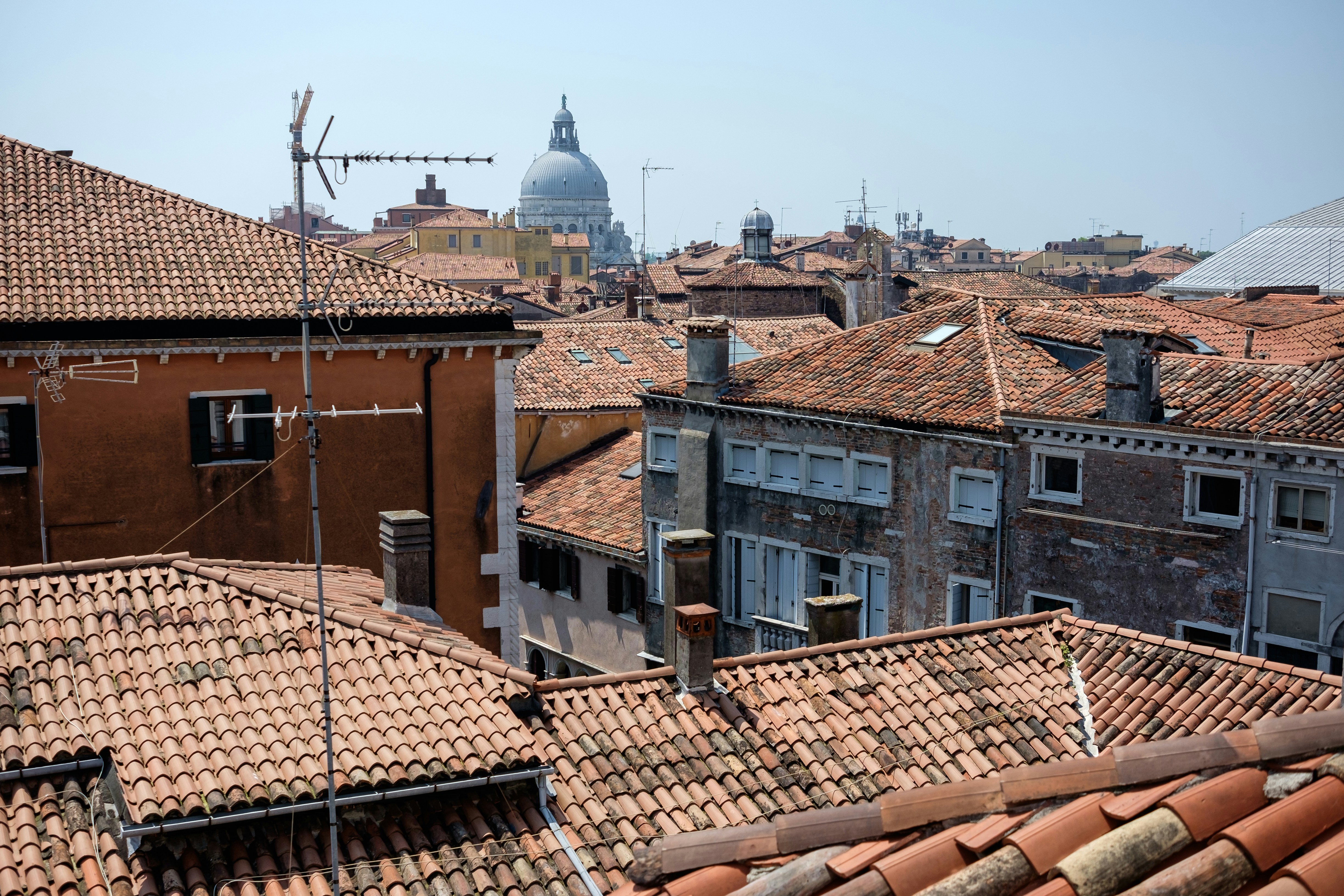 Photo by mayumimaciel