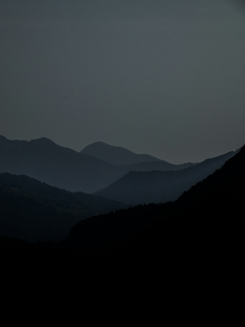 a bird flying over a mountain range at night