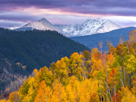 The Colorado Rockies - Golden aspens below snow-capped peaks at sunset