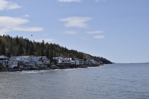 A coastal scene featuring a row of houses along a rocky shoreline, bordered by a dense forest of evergreen trees. The sky is mostly clear with a few scattered clouds, and a bird is flying above the coastline. The calm sea gently laps against the rocks.