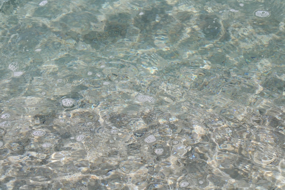 a close up of water with bubbles in it