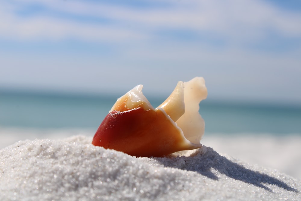 a piece of food sitting on top of a sandy beach