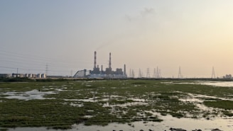 An industrial facility with multiple large chimneys emitting smoke is situated in the distance. Surrounding the facility are power lines and electricity pylons. In the foreground, there is a marshy area with patches of grass and water reflecting the sky.