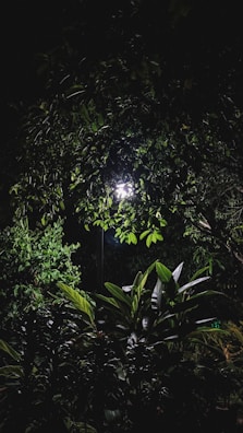 Soft shadows cast by lantern light on a peaceful garden bench at night.