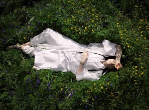 A person in a white robe lies peacefully on lush, green grass surrounded by small yellow and purple flowers. Their arm is raised, casting a shadow across their face. The scene suggests tranquility and harmony with nature.