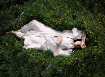 A person in a white robe lies peacefully on lush, green grass surrounded by small yellow and purple flowers. Their arm is raised, casting a shadow across their face. The scene suggests tranquility and harmony with nature.