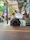 A happy dog sitting next to its owner at an outdoor café terrace surrounded by greenery.