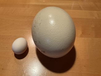 A visual comparison of domestic and export qualified embryos.