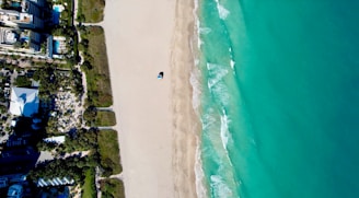 a bird's eye view of a beach and ocean
