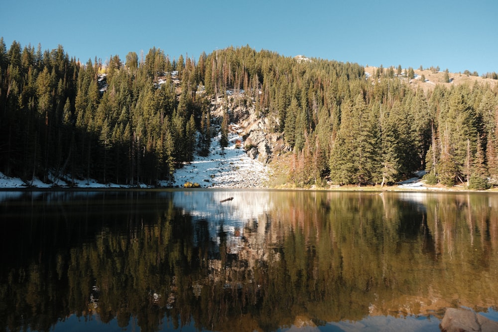 a lake surrounded by trees and snow