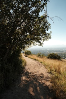 a person walking down a dirt road next to a tree