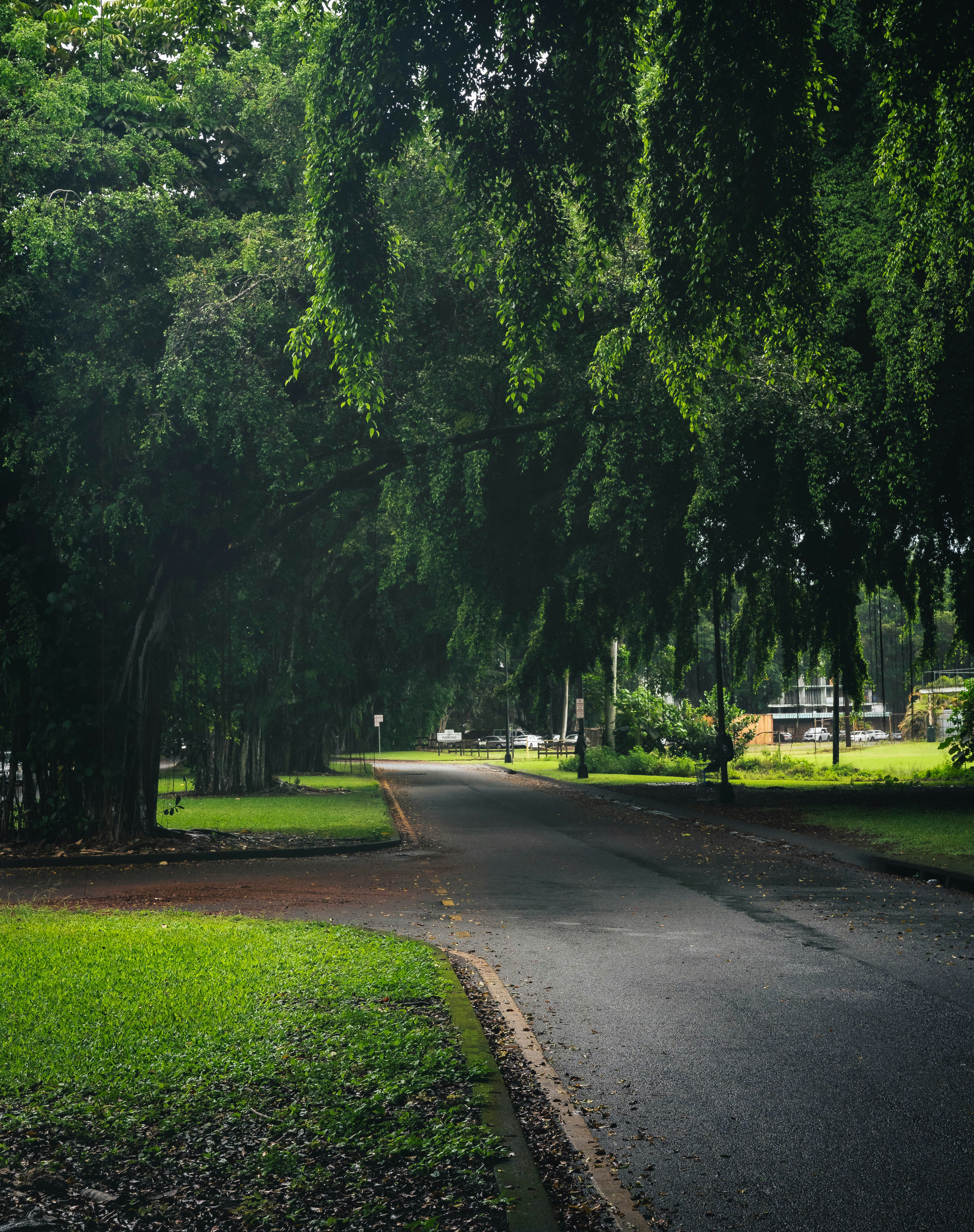 Photo by nitinreddyk