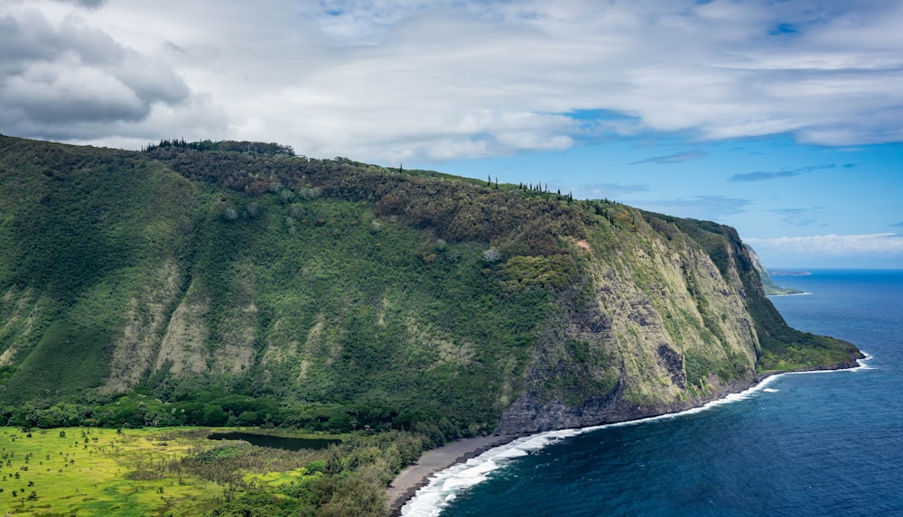 a lush green hillside next to the ocean