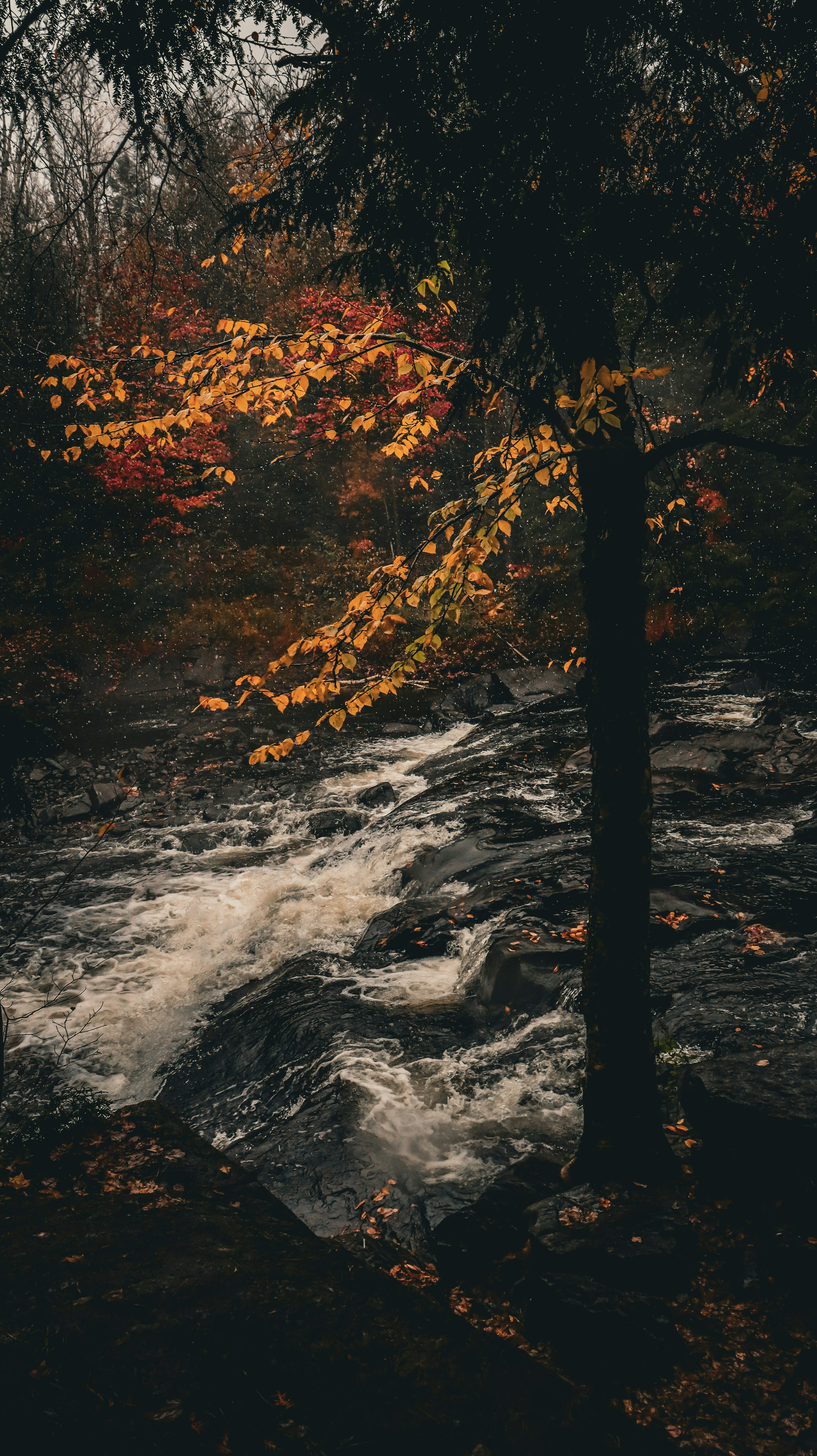 Photo by cheesycheesecake