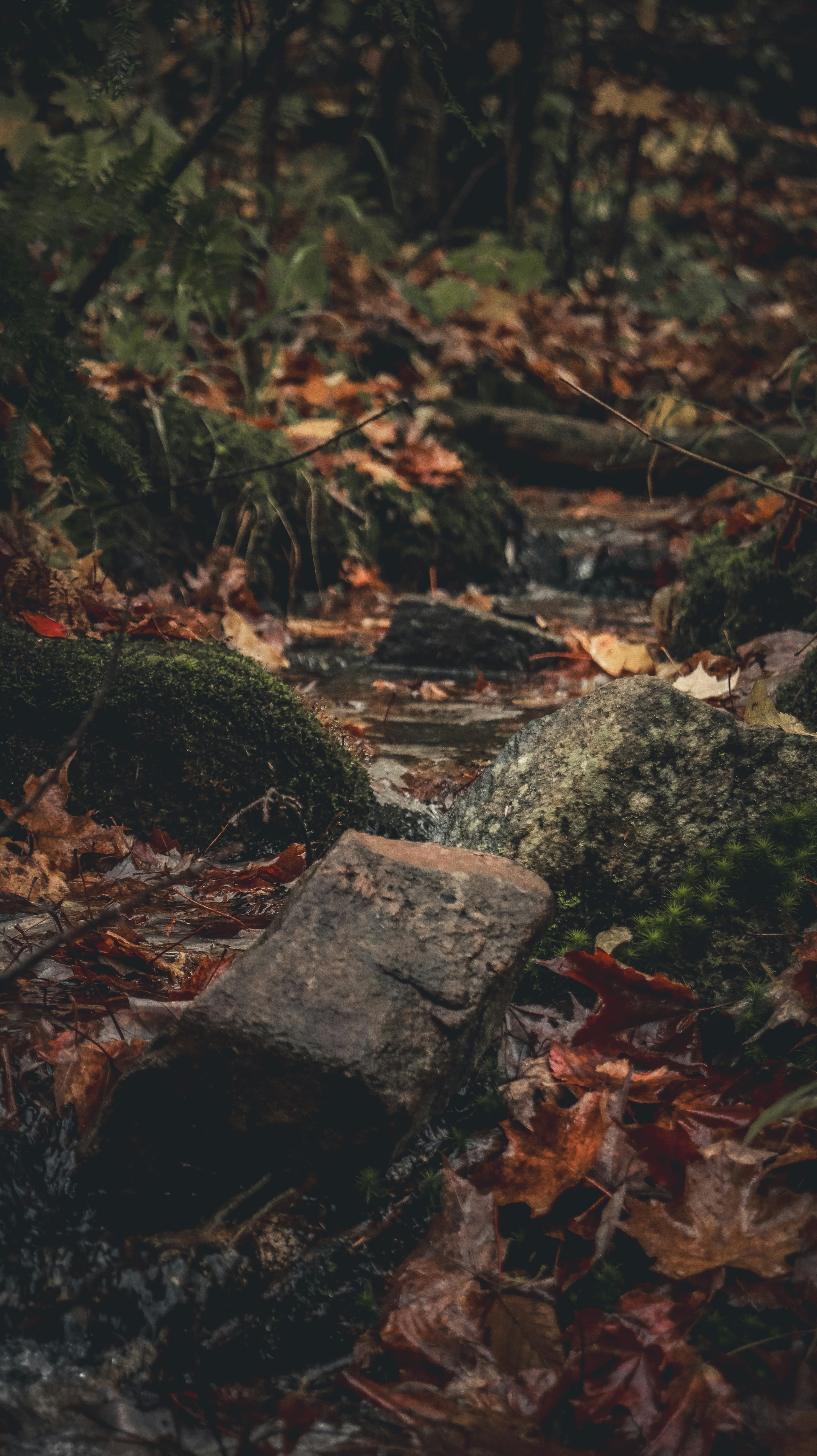 Photo by cheesycheesecake