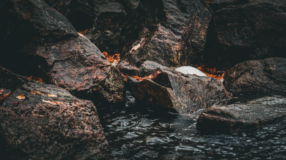 a bottle of wine sitting on a rock in the water