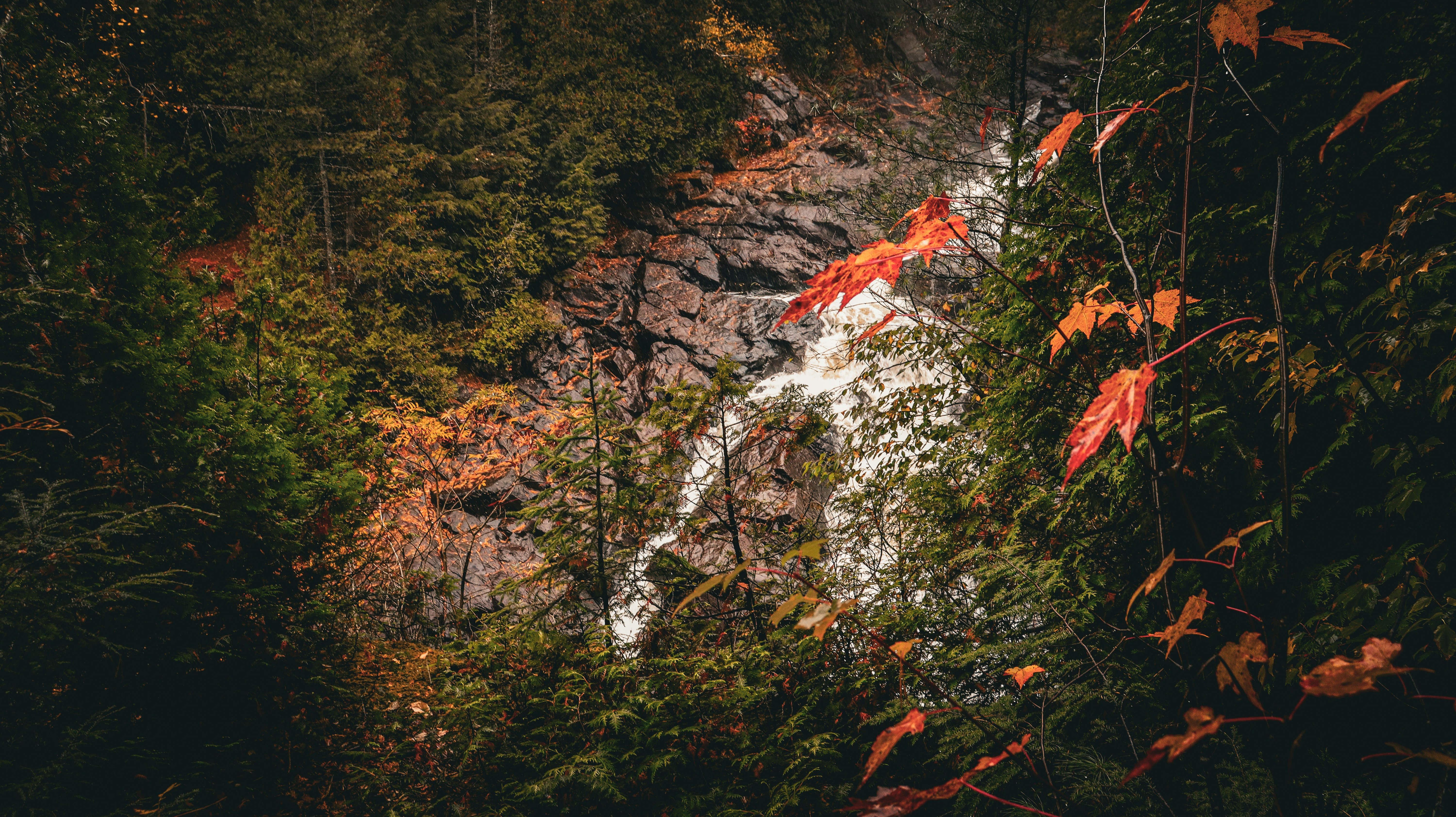 Photo by cheesycheesecake