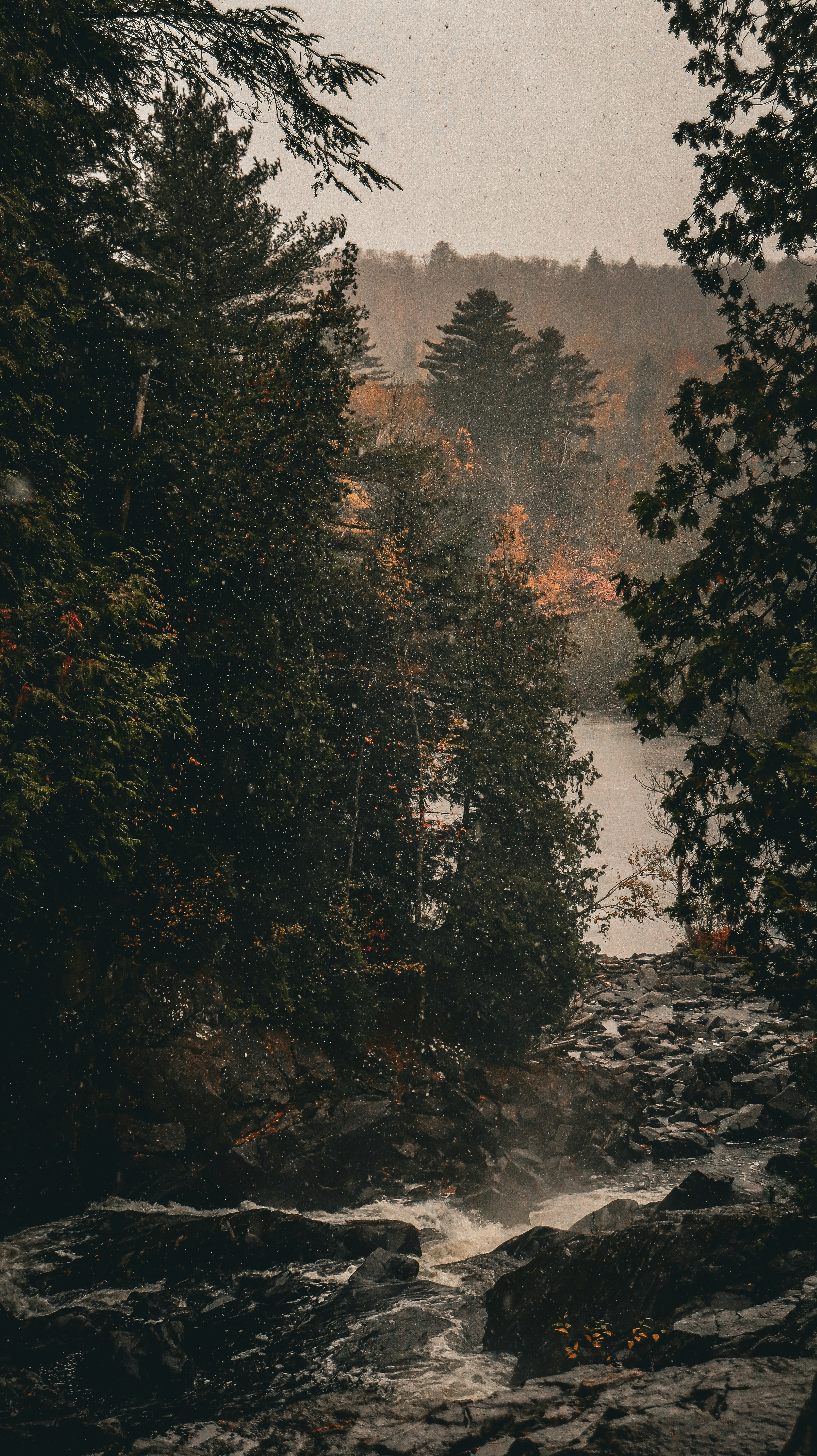 Photo by cheesycheesecake