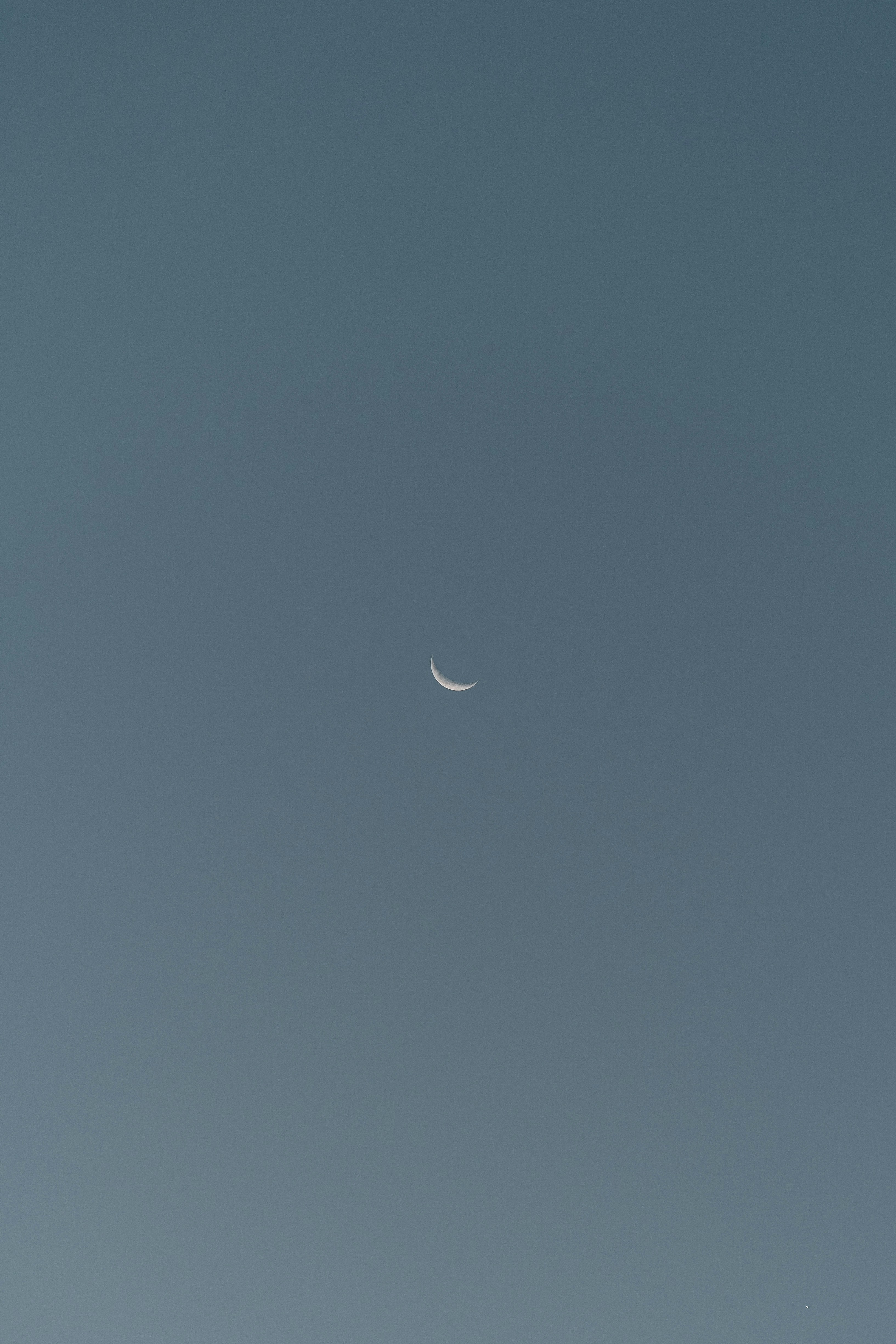 Photo by mathildelangevin