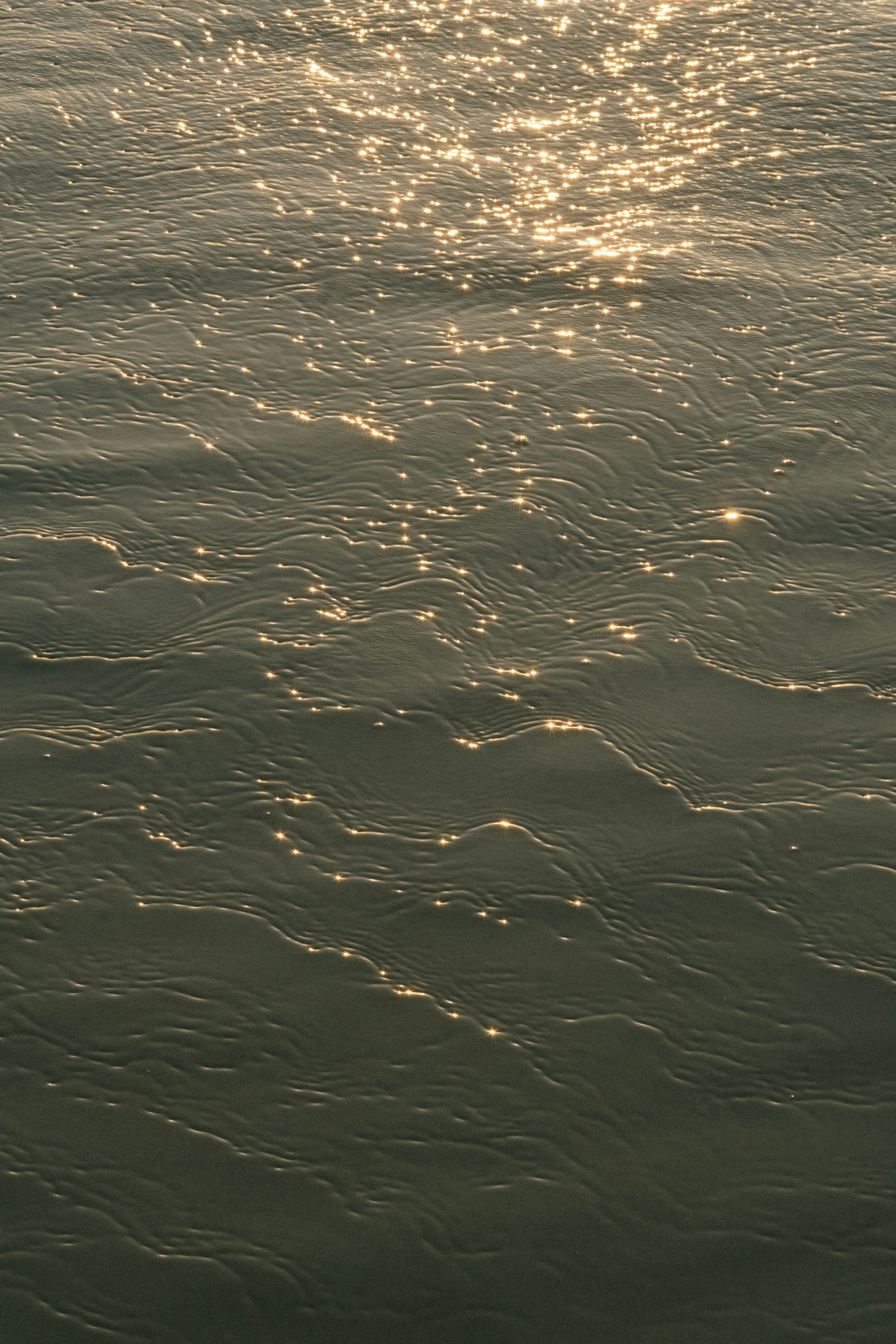 Photo by mathildelangevin