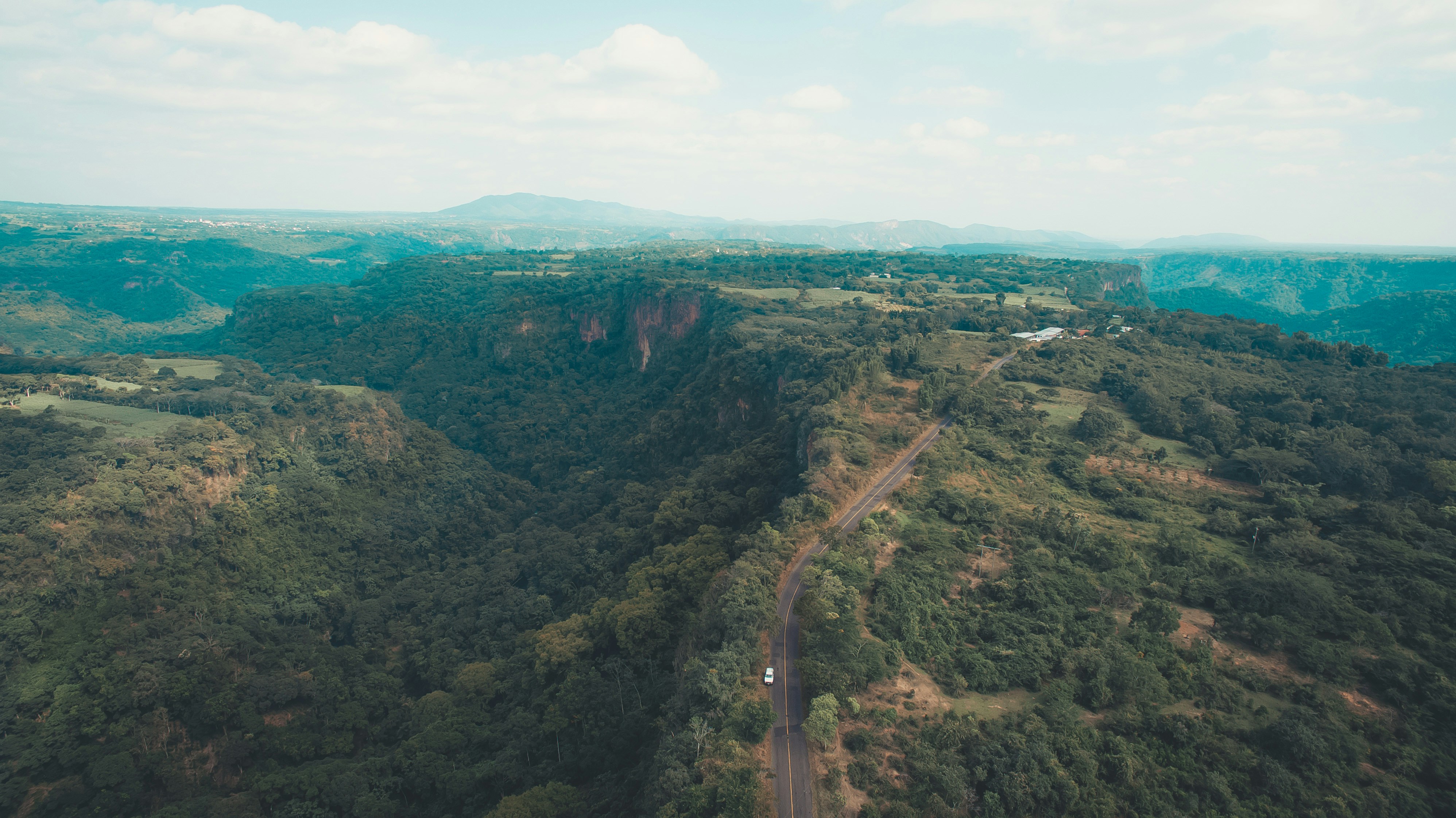 an aerial view of a road surrounded by trees