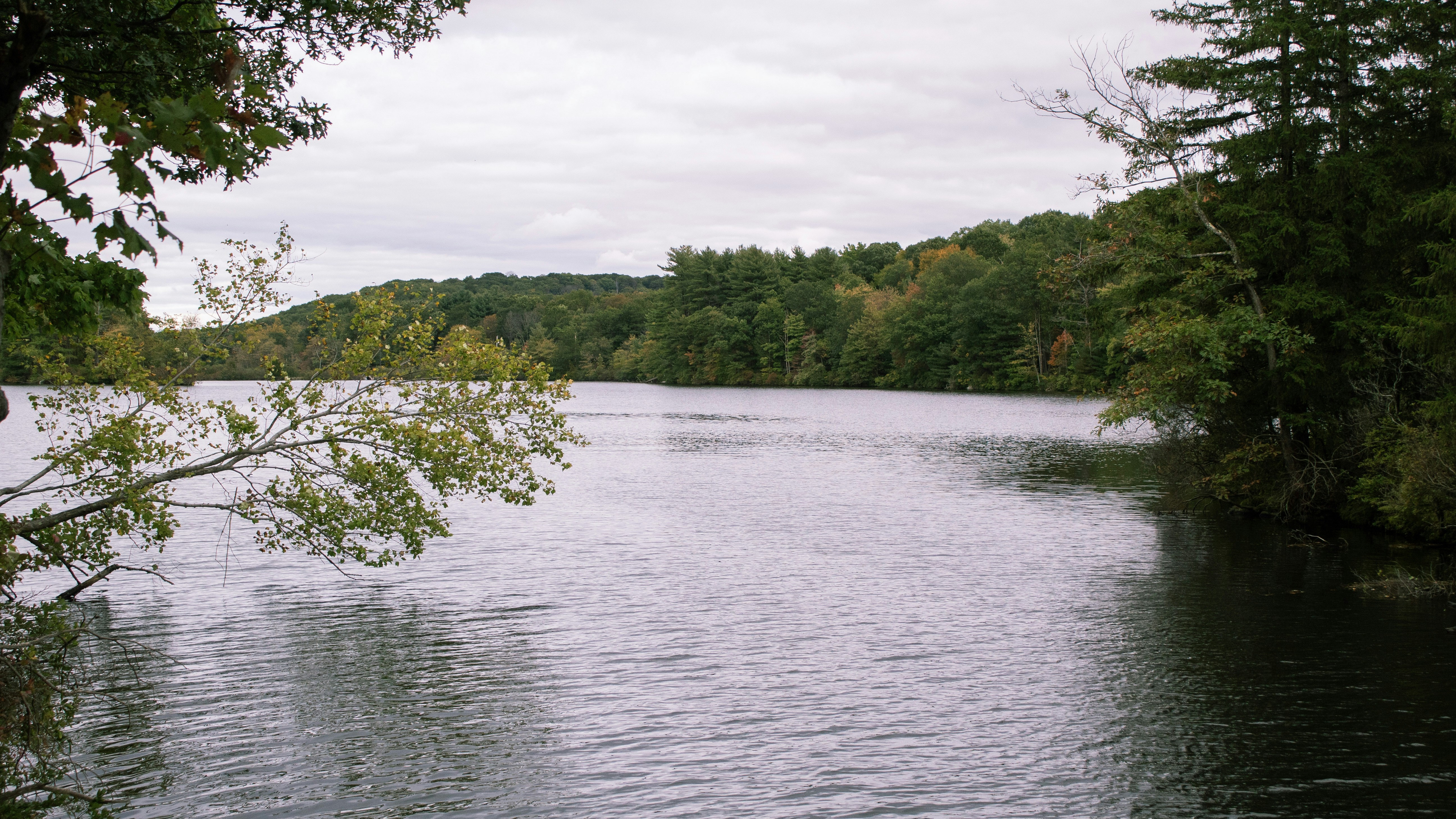 View of the protected watershed near Andes, NY.