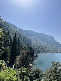 a lake surrounded by trees and mountains