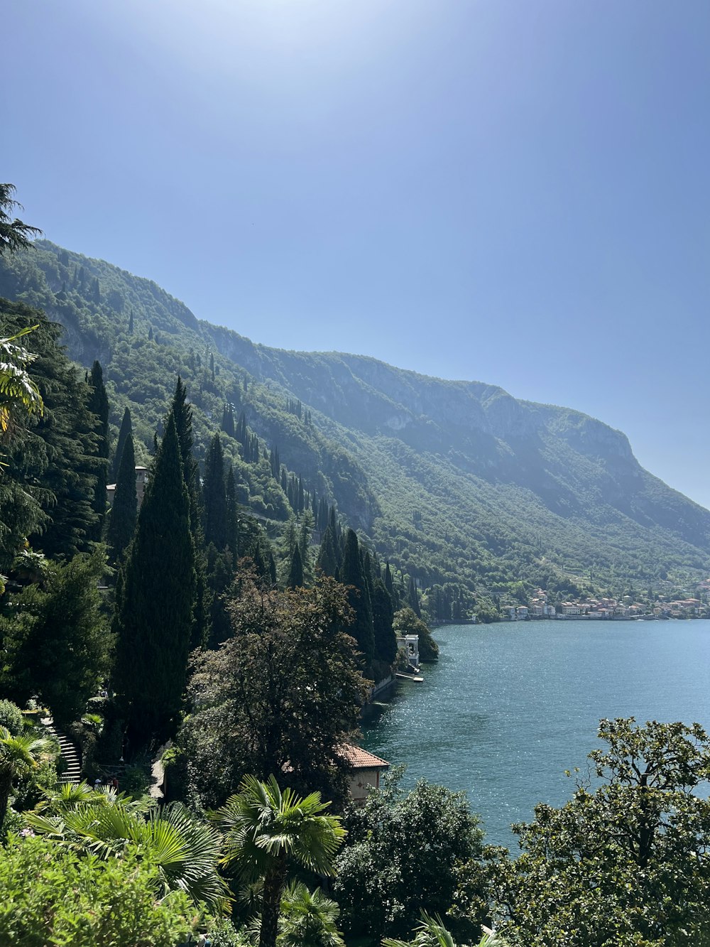 a lake surrounded by trees and mountains