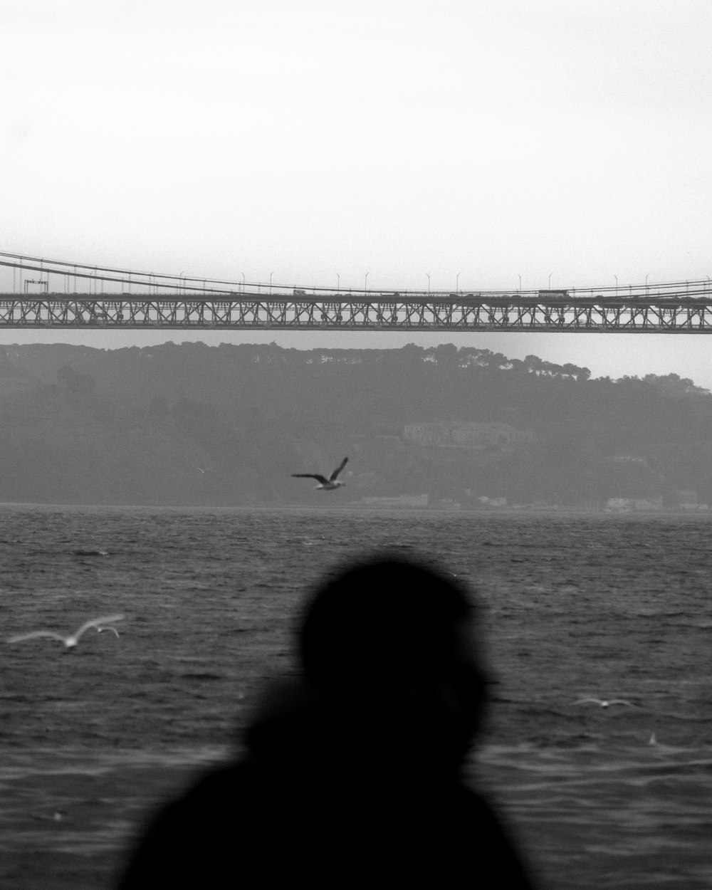 a bird flying over a body of water with a bridge in the background
