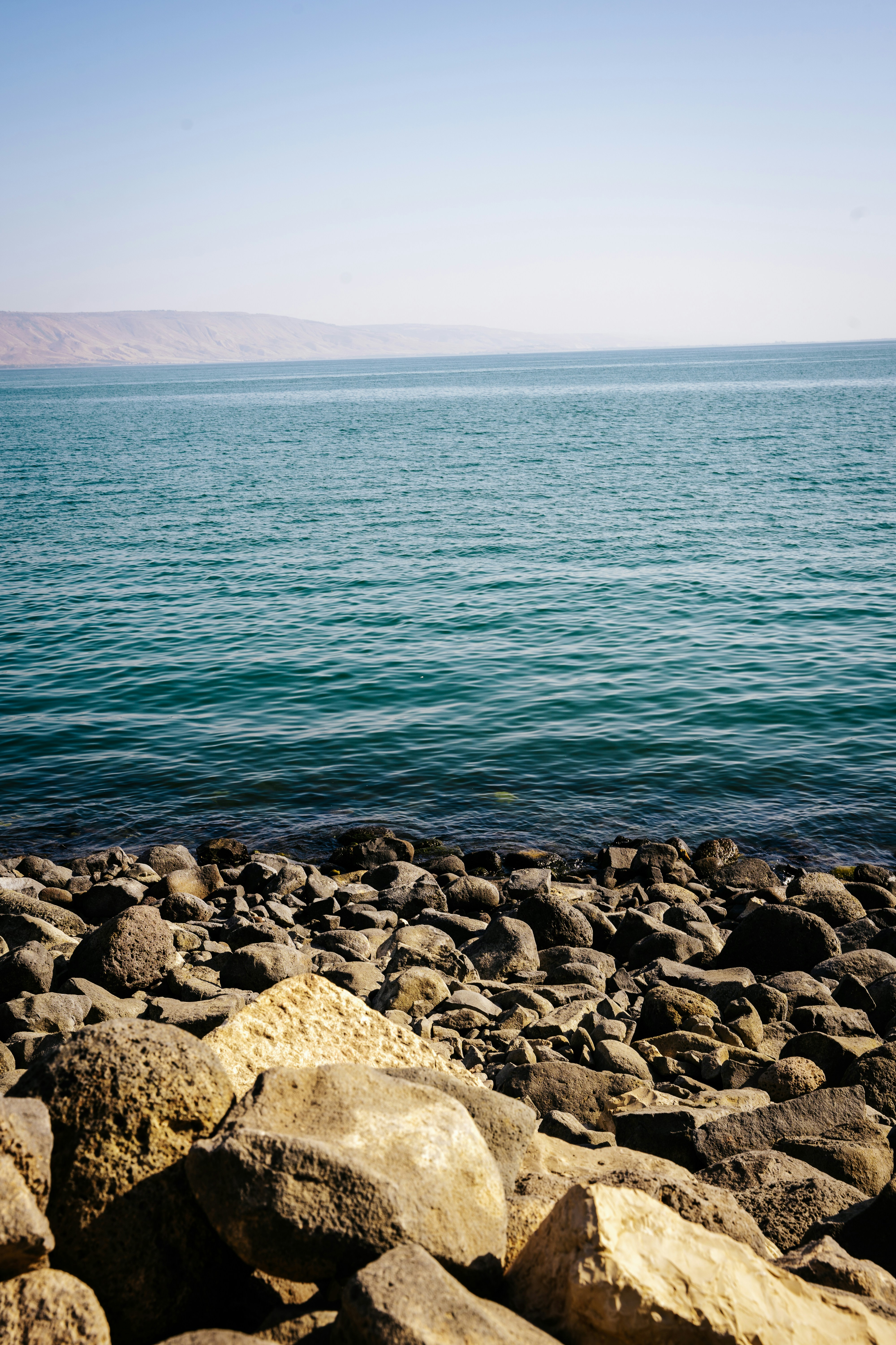 Photo by katalinsalles