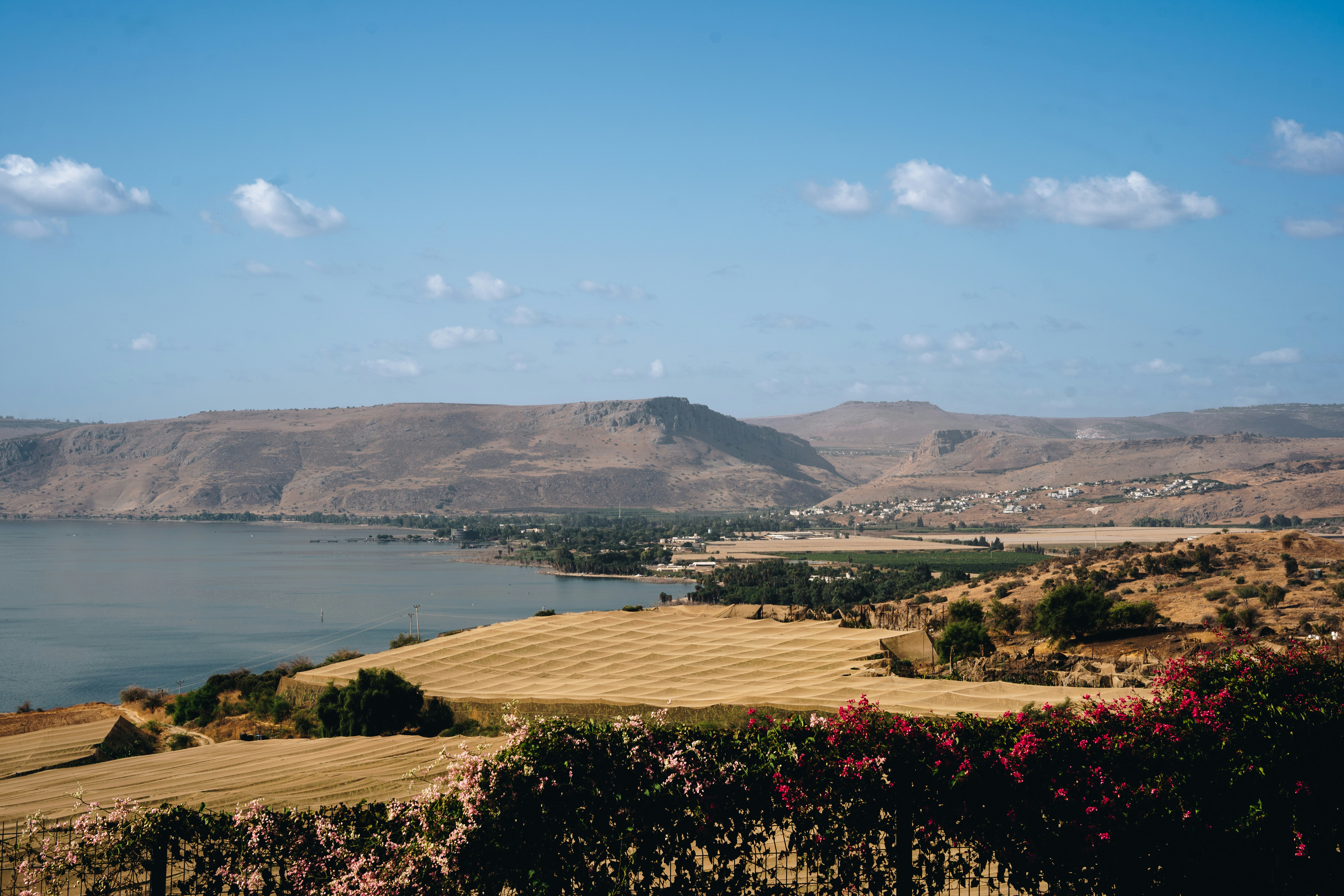 Photo by katalinsalles