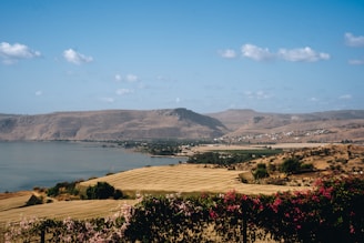 A serene landscape showcasing investment opportunities.