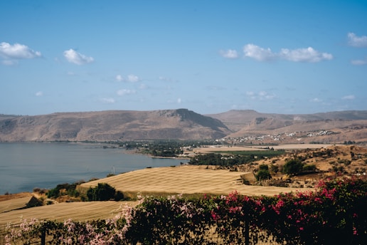 A serene landscape illustrating ideal investment opportunities.