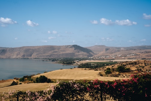 A serene landscape showcasing investment opportunities.