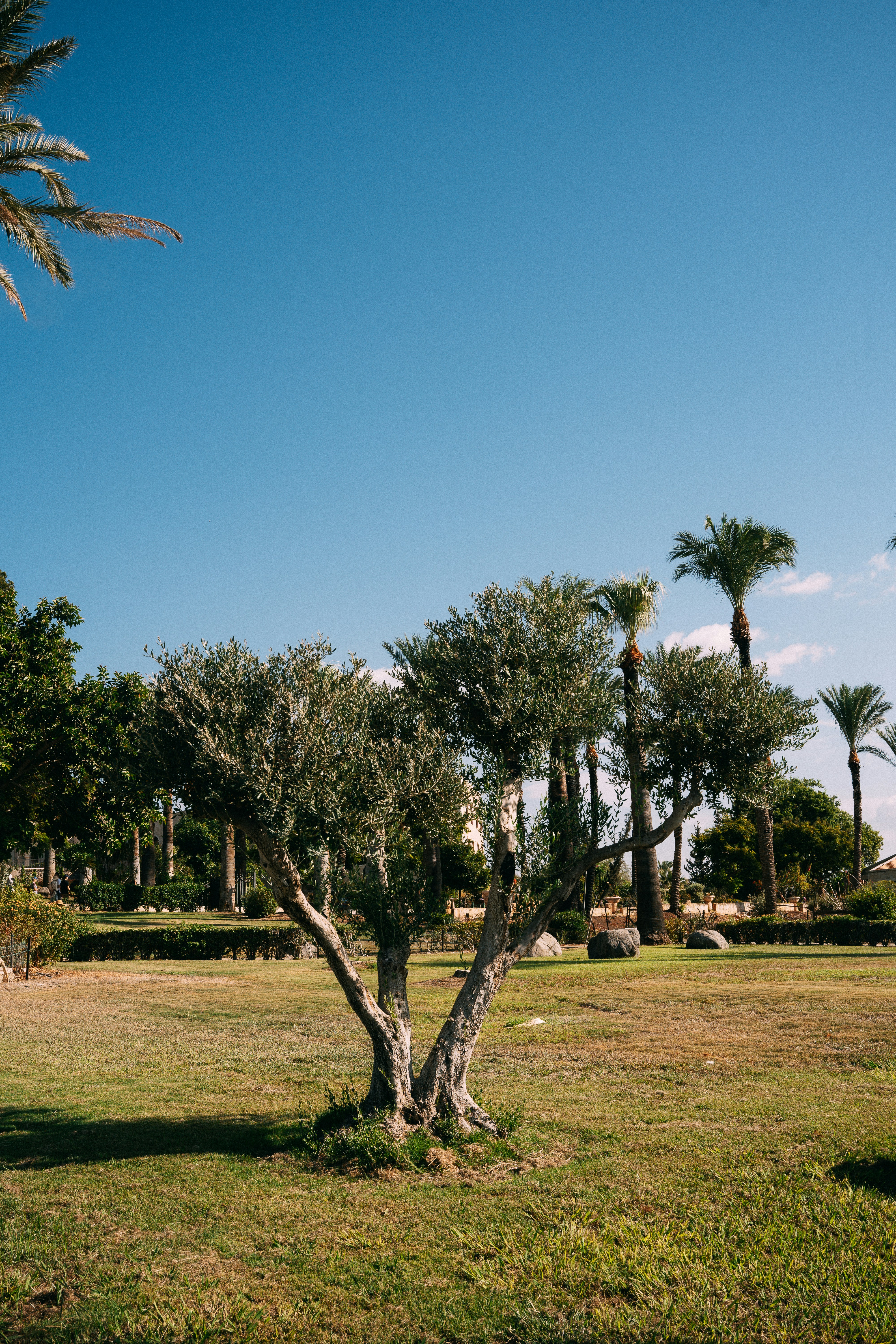 Photo by katalinsalles