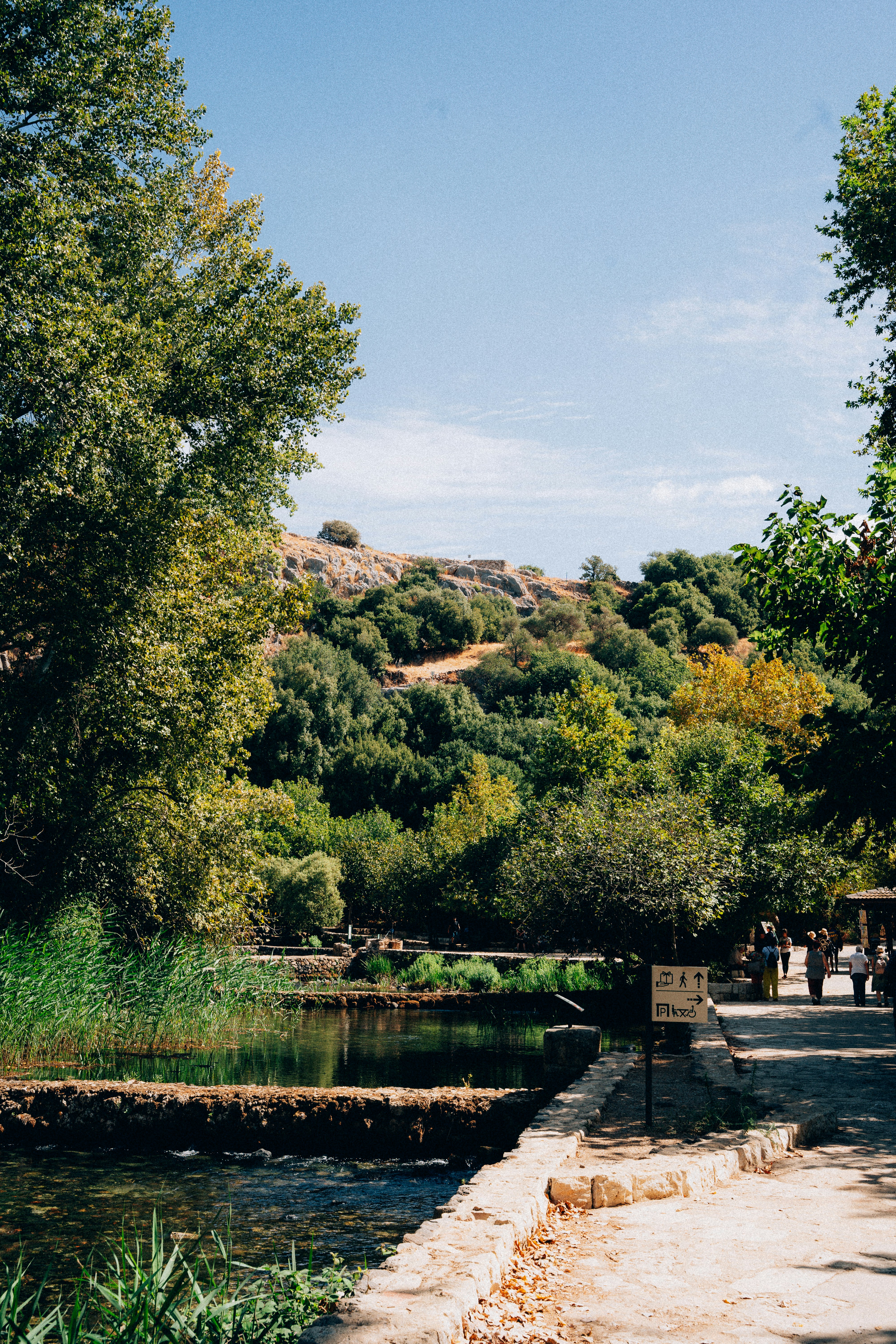 photo-1697059323391-9d6bebbbea98?ixlib=rb-4.0.3