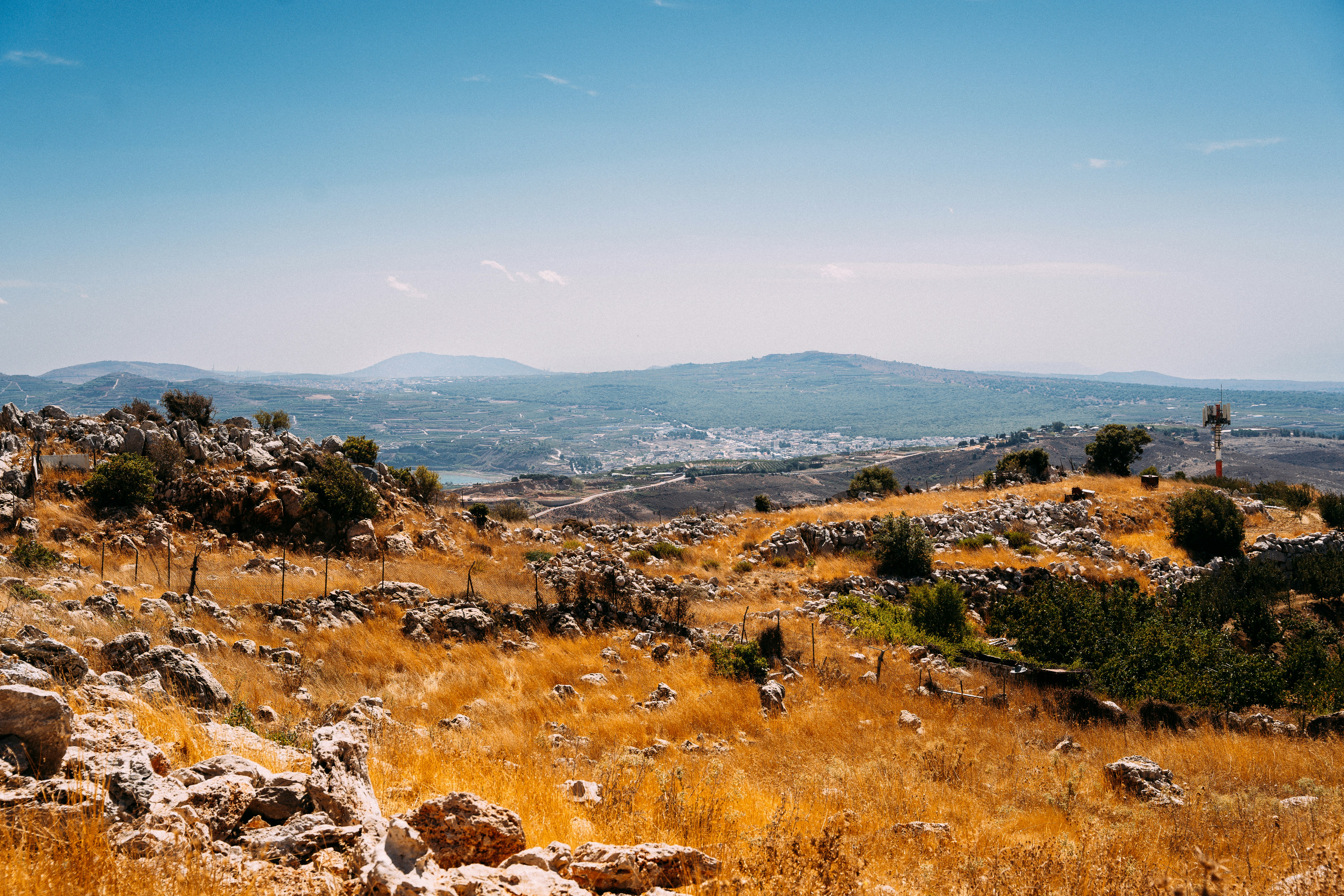 photo-1697059325646-8c743812e1b2?ixid=M3wxMjA3fDB8MXxzZWFyY2h8MTU1fHwyMyUyMHdlZWtzJTIwYWdvJTIwZnJvbSUyMHRvZGF5fGVufDB8fHx8MTczNjg5NDkwMHww%5Cu0026ixlib=rb-4.0.3