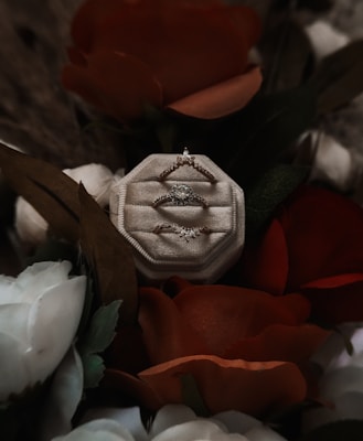 A velvet jewelry box displaying three elegant rings surrounded by vibrant red and white flowers and dark green leaves.