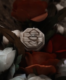 A velvet jewelry box displaying three elegant rings surrounded by vibrant red and white flowers and dark green leaves.