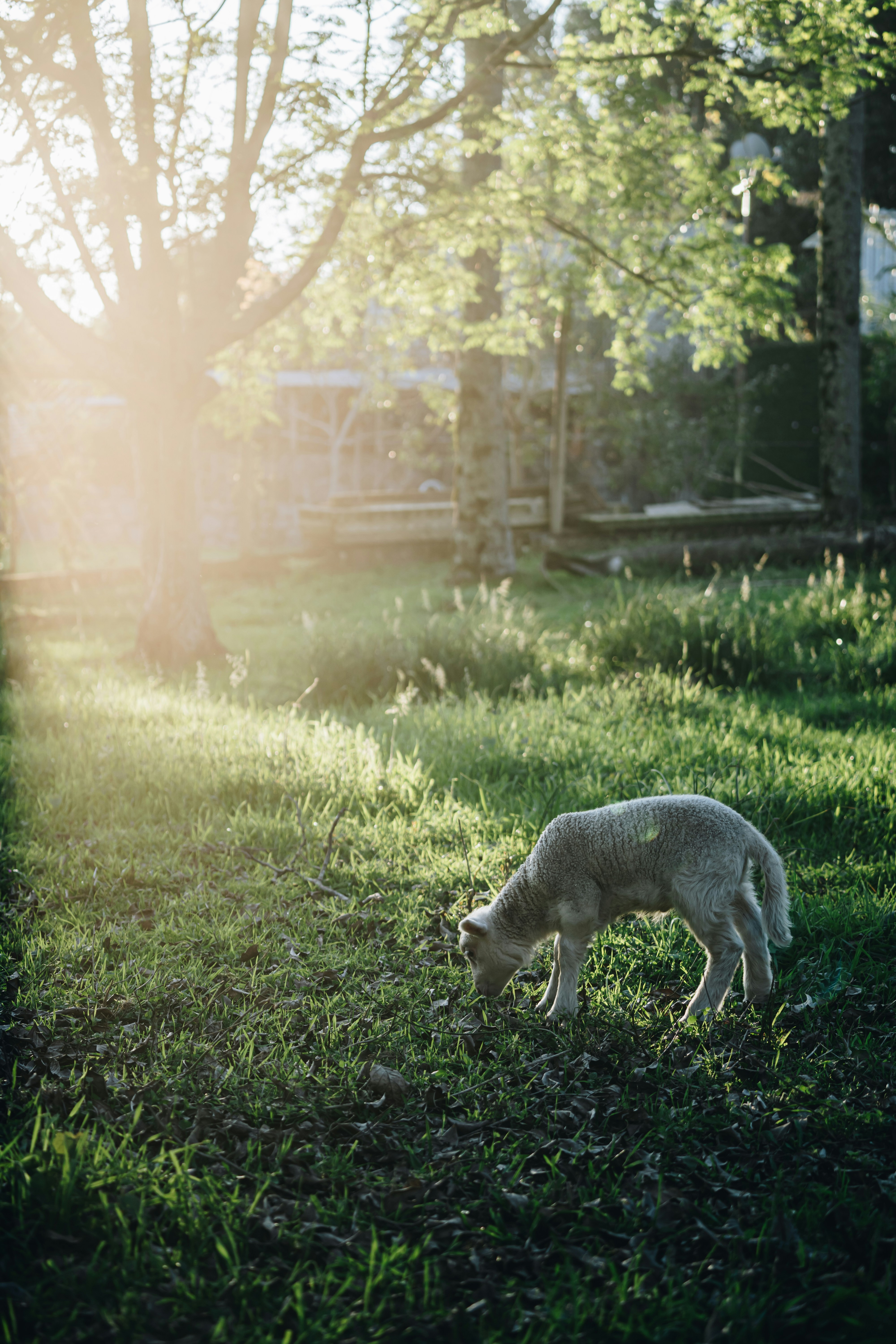 Photo by katalinsalles