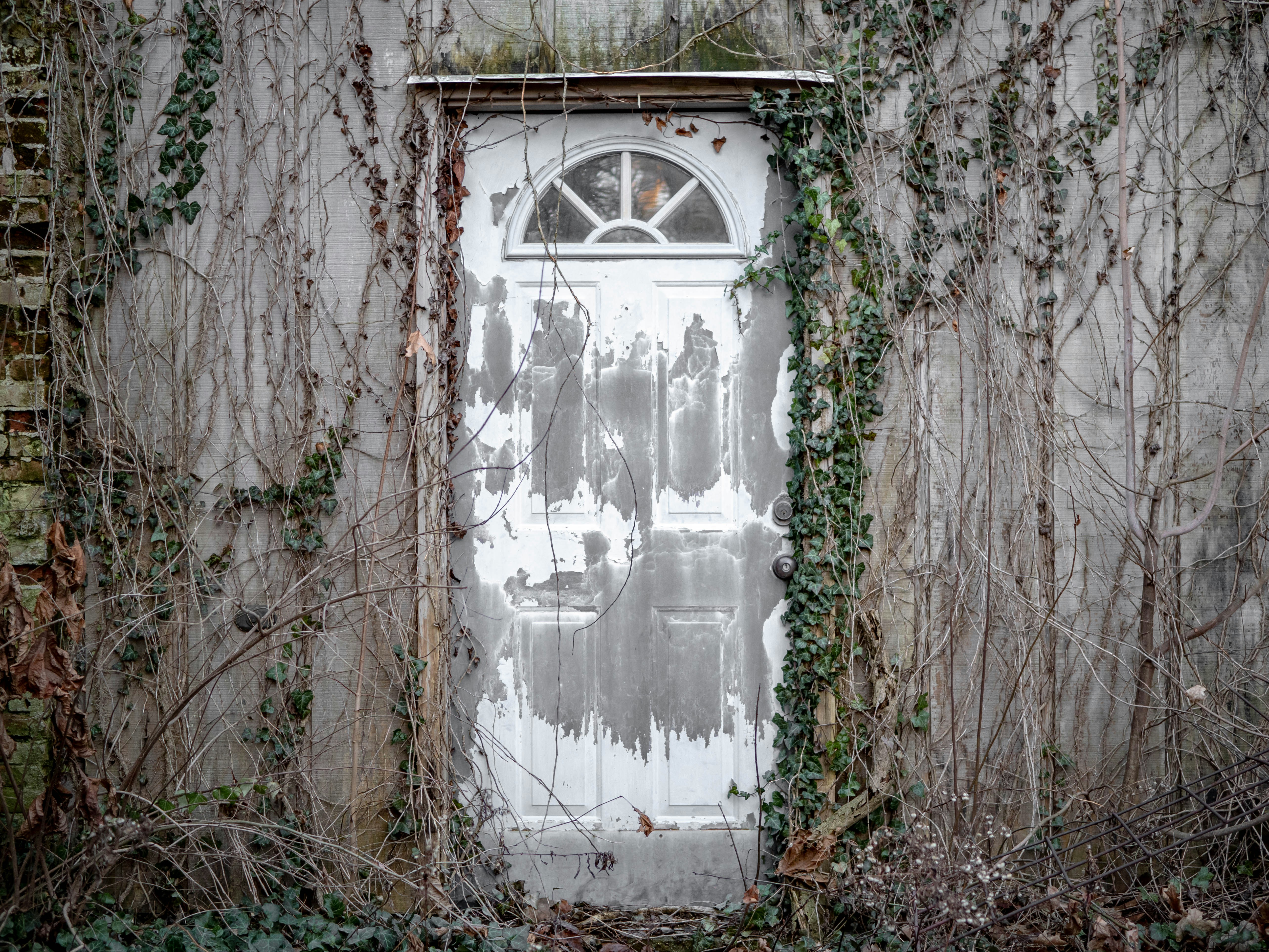 a white door surrounded by vines and vines